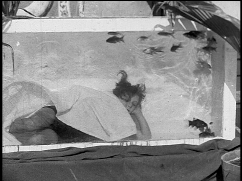 Woman Sleeping in Fish Tank