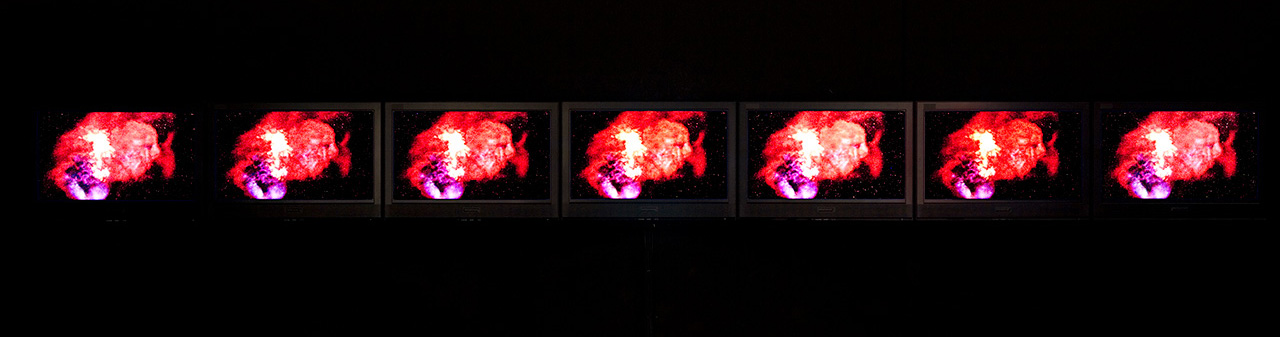 Installation view
